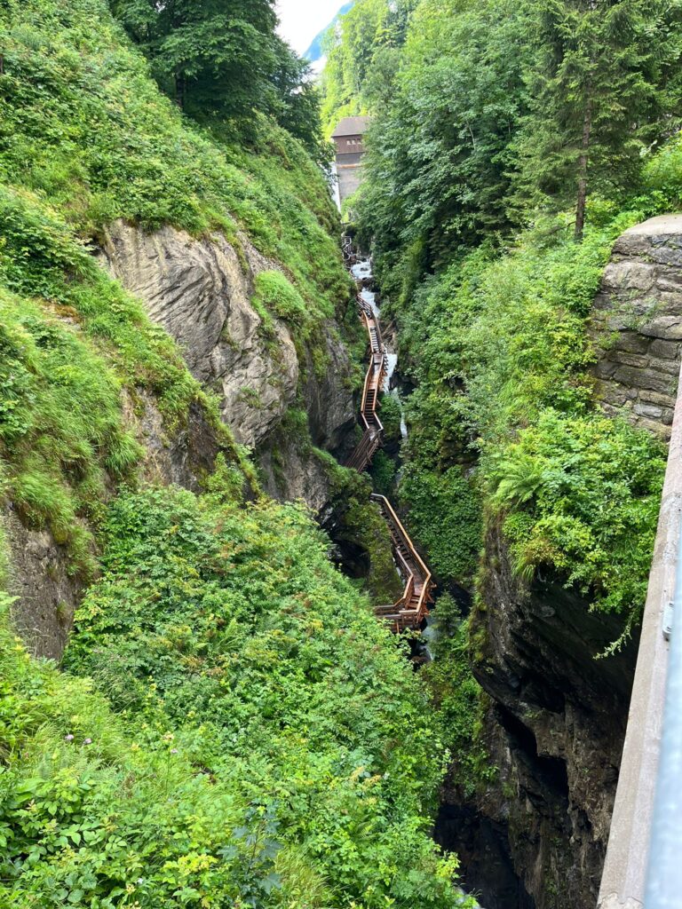 IMG-20250714-WA0042